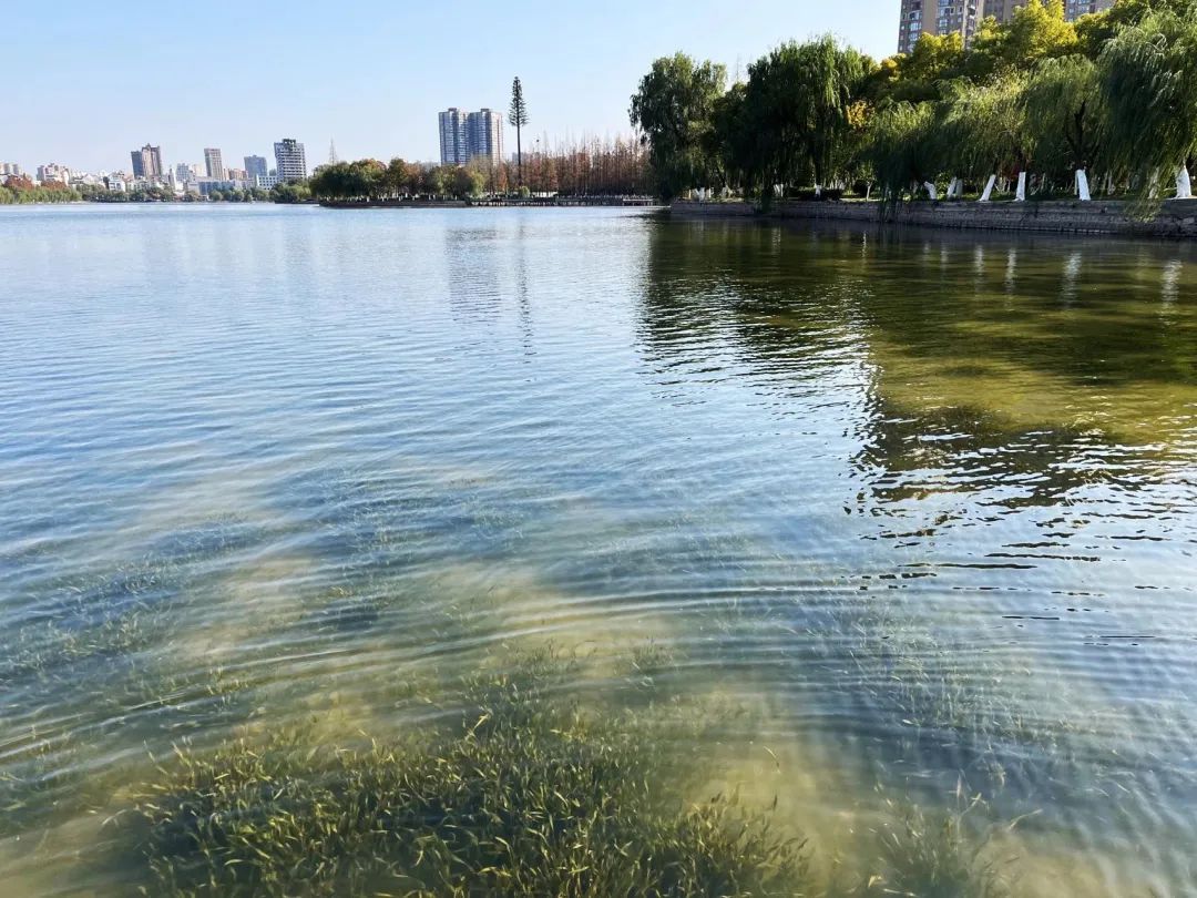 ƽ����pinnacle(�й�����)�ٷ���վ