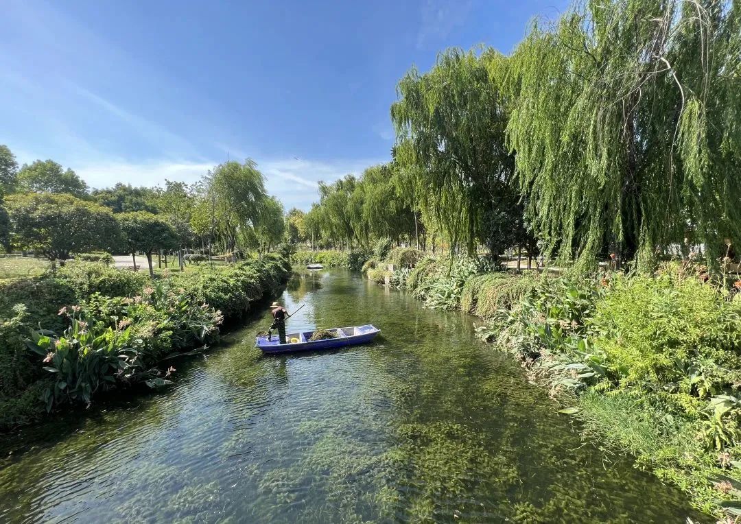 ƽ����pinnacle(�й�����)�ٷ���վ