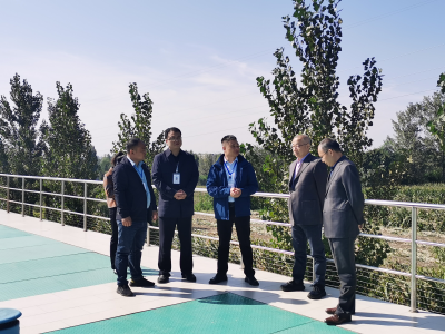 ƽ����pinnacle(�й�����)�ٷ���վ