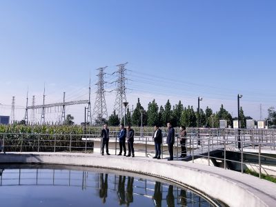 ƽ����pinnacle(�й�����)�ٷ���վ