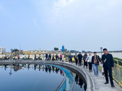 ƽ����pinnacle(�й�����)�ٷ���վ