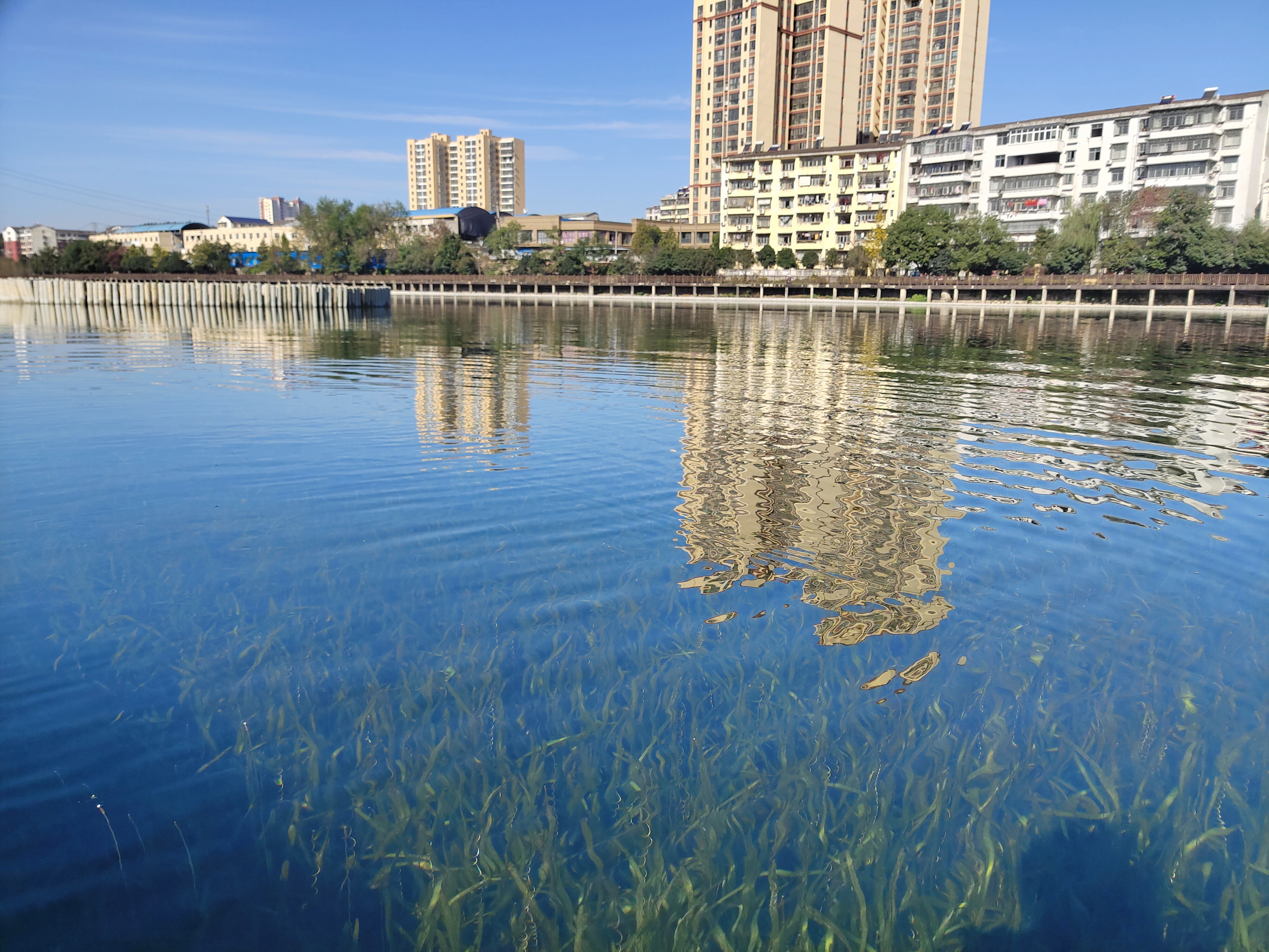 ƽ����pinnacle(�й�����)�ٷ���վ