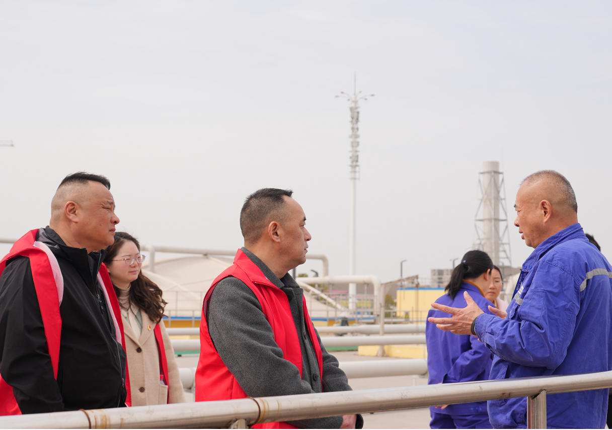 ƽ����pinnacle(�й�����)�ٷ���վ