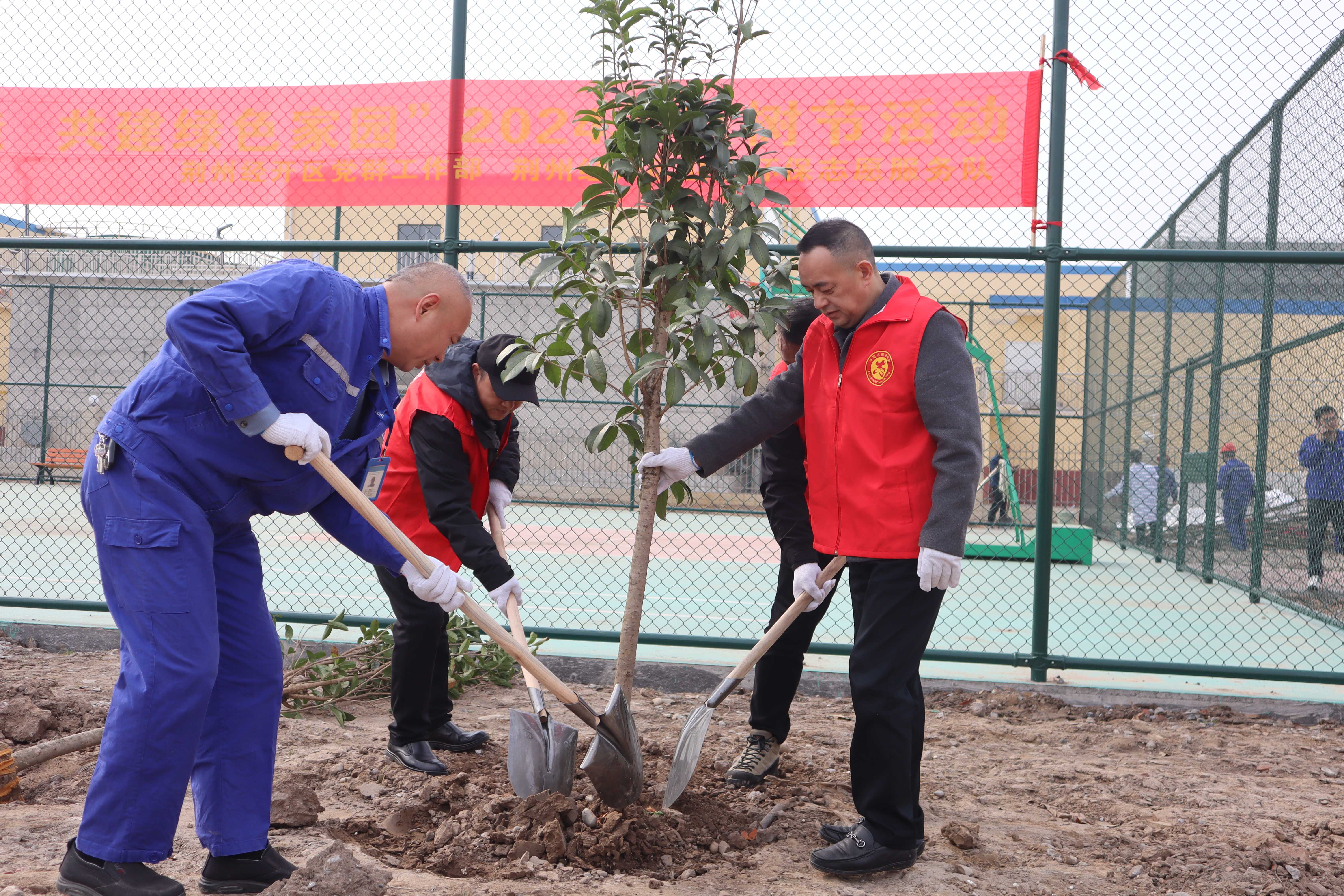 ƽ����pinnacle(�й�����)�ٷ���վ