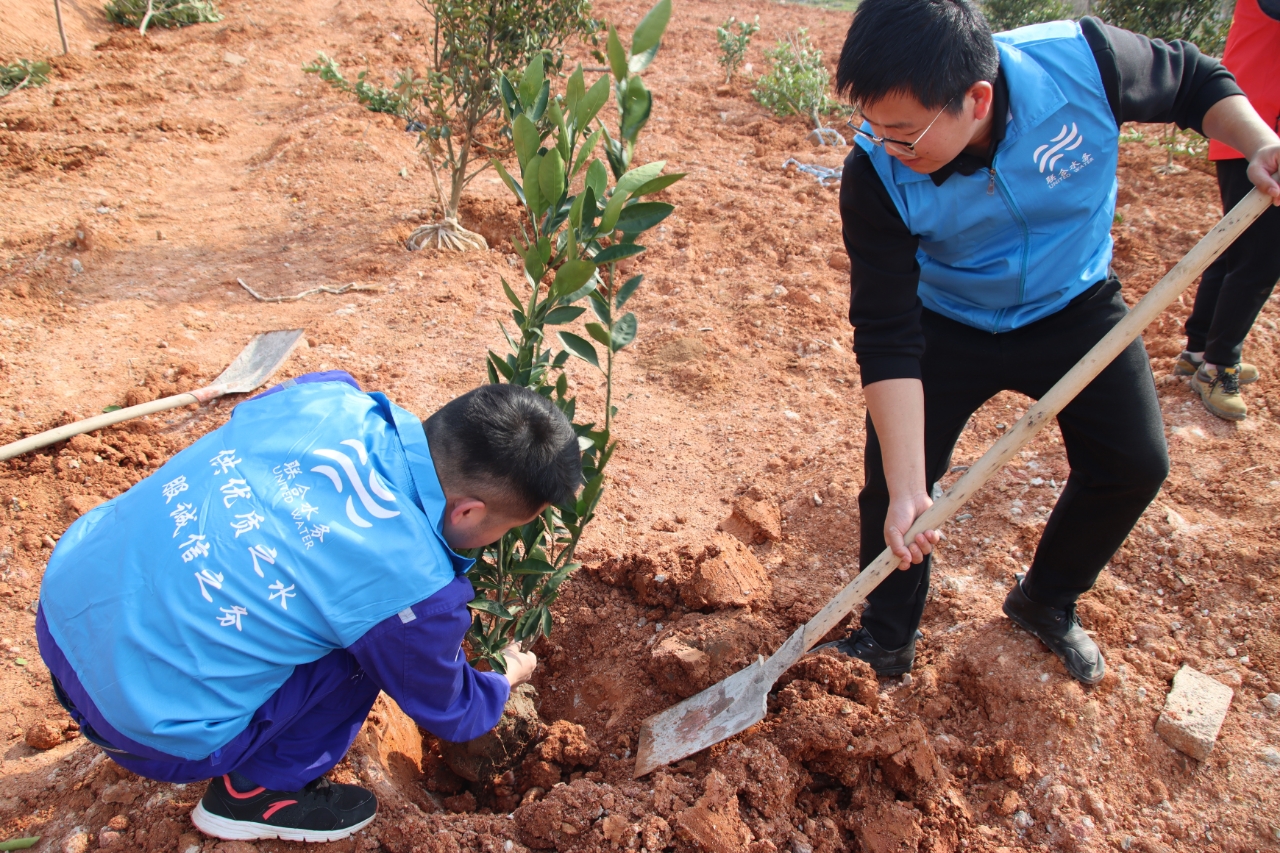 ƽ����pinnacle(�й�����)�ٷ���վ