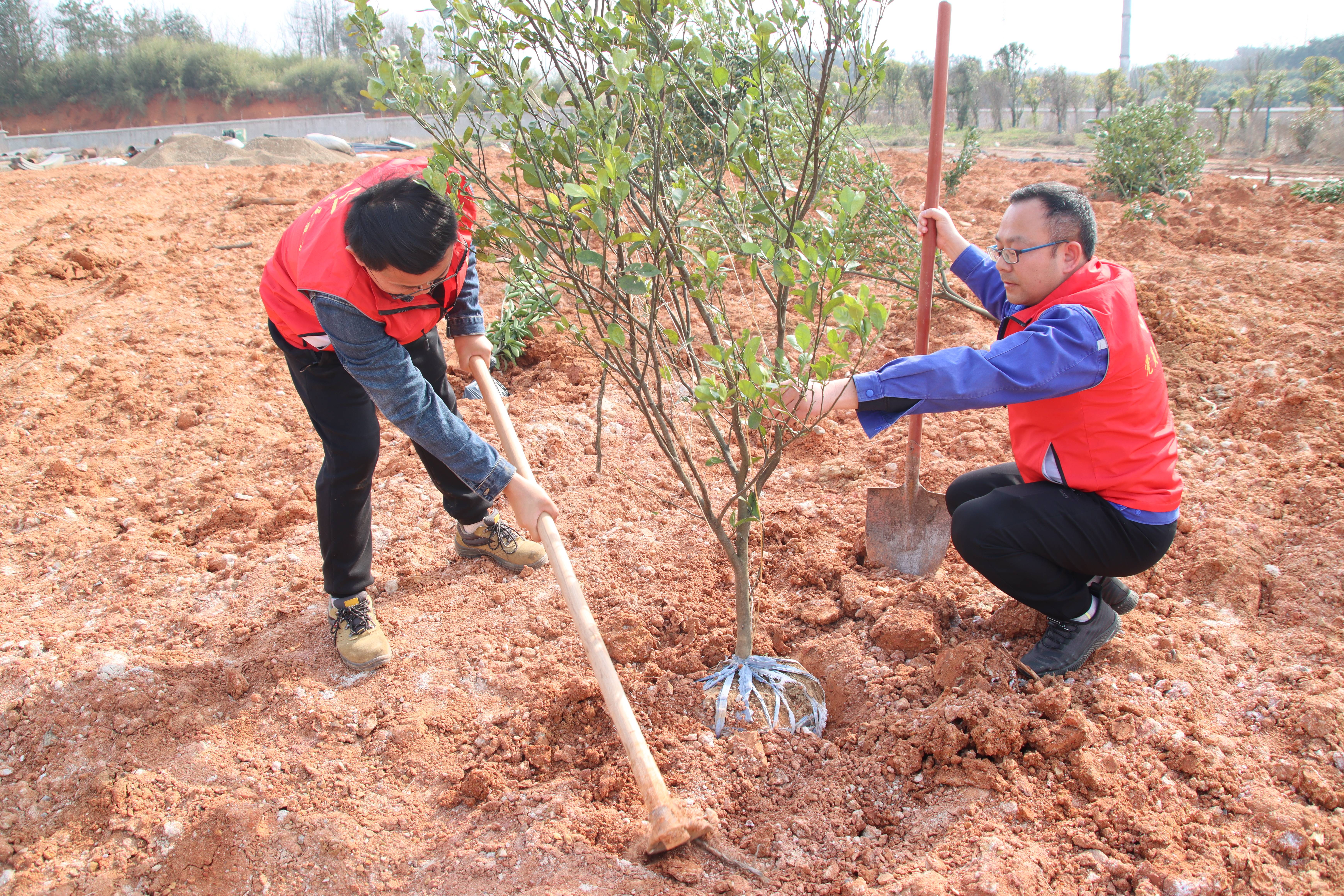 ƽ����pinnacle(�й�����)�ٷ���վ