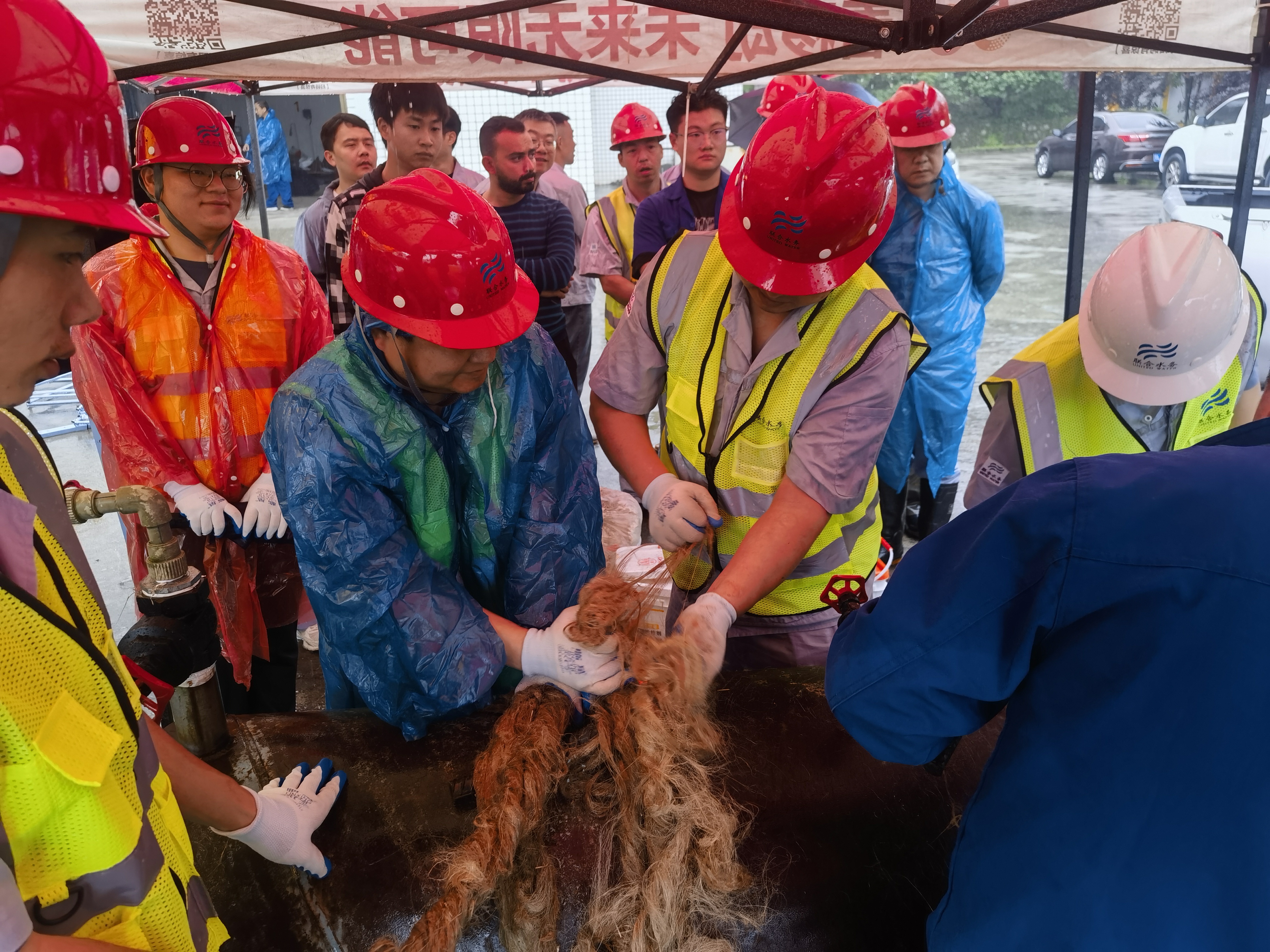 ƽ����pinnacle(�й�����)�ٷ���վ