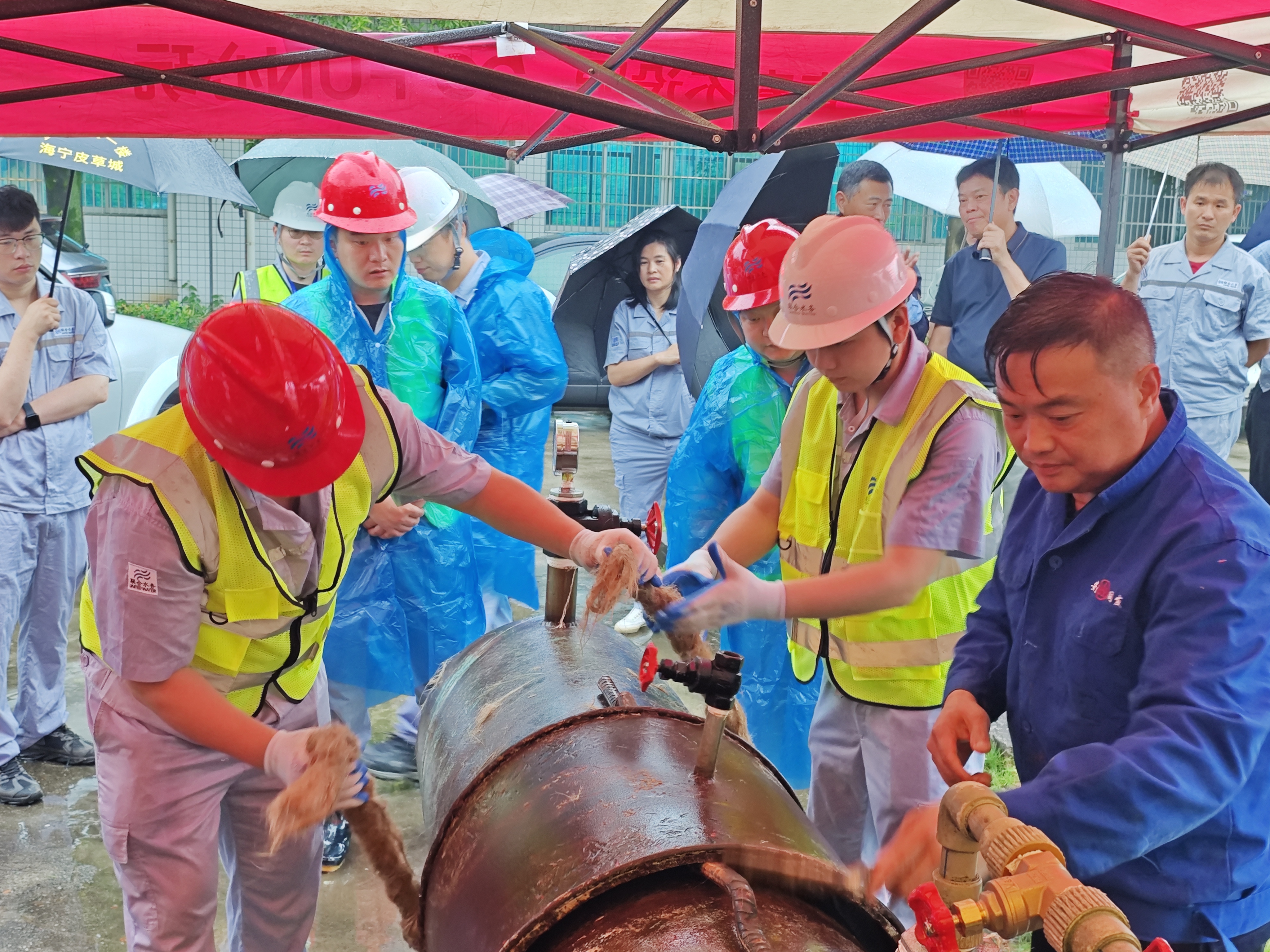 ƽ����pinnacle(�й�����)�ٷ���վ