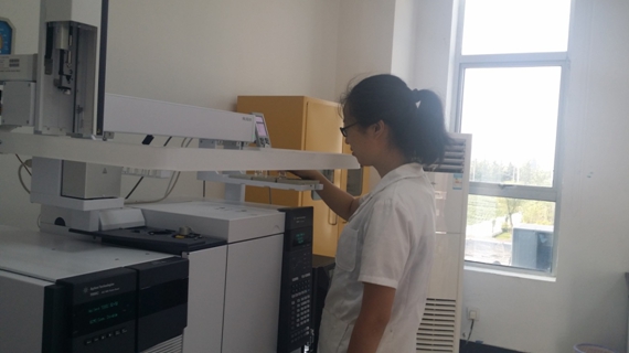 ƽ����pinnacle(�й�����)�ٷ���վ