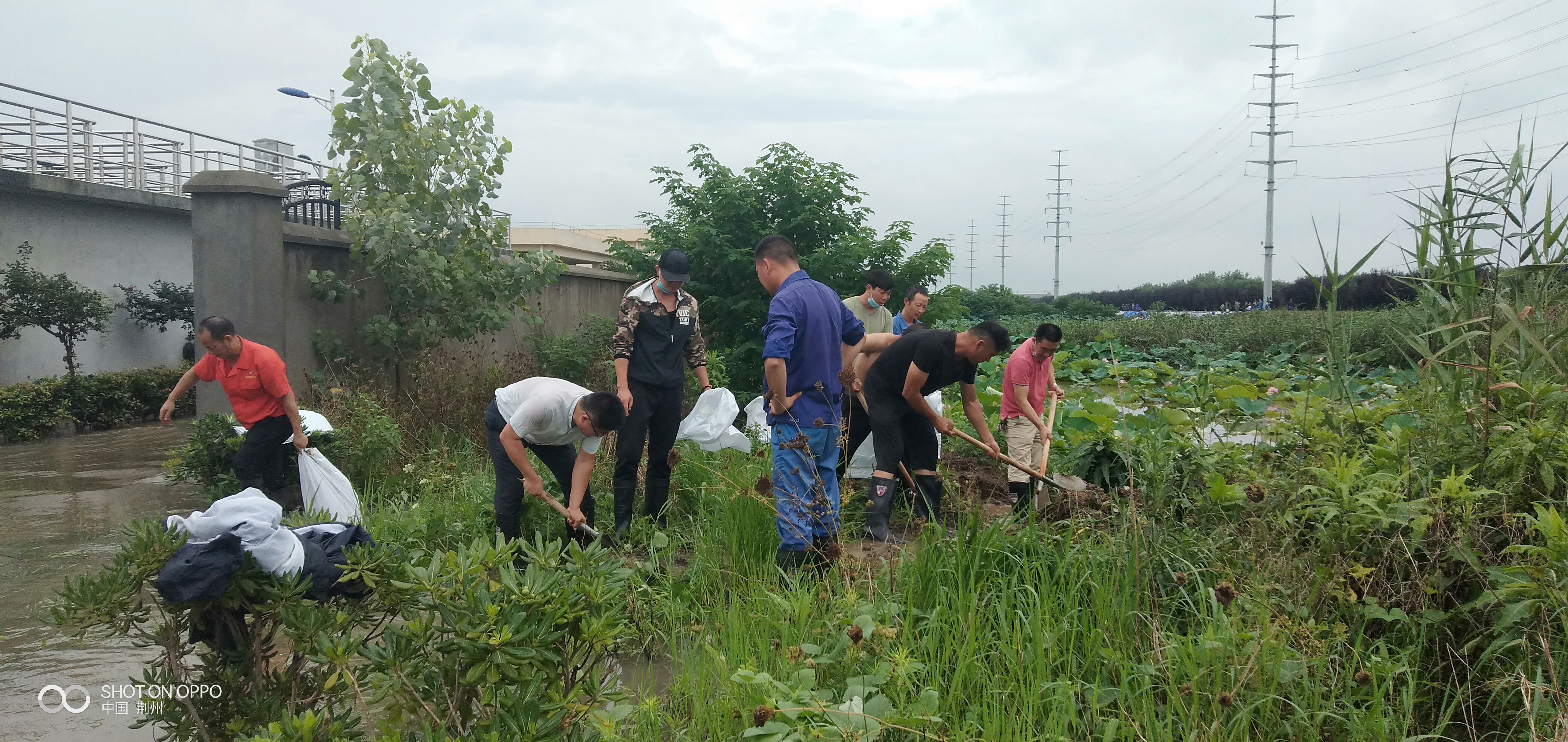 ƽ����pinnacle(�й�����)�ٷ���վ