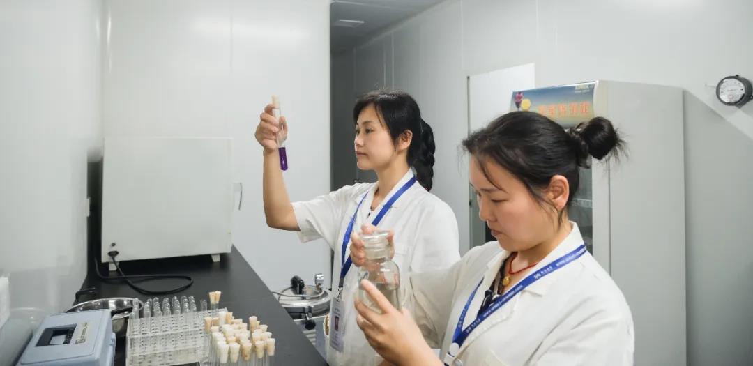 ƽ����pinnacle(�й�����)�ٷ���վ