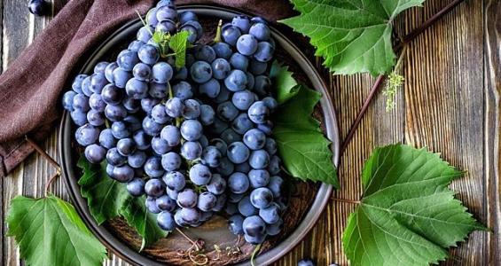 ƽ����pinnacle(�й�����)�ٷ���վ